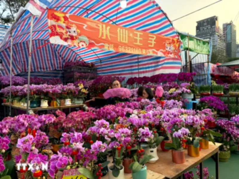 Hương Xuân từ chợ hoa Tết tại Hong Kong: Sắc màu và truyền thống