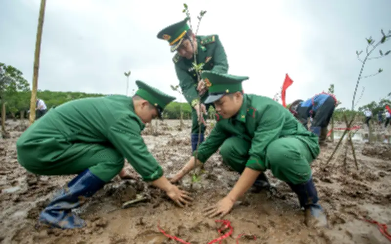 Hưng Yên trồng 9.000 cây bần chua, củng cố hệ sinh thái đất ngập nước