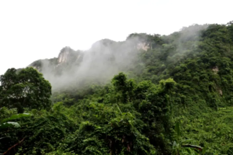 Hành Lang Sinh Thái Trường Sơn: Từ Di Sản Cổ Xưa Đến Mô Hình Kinh Tế Bảo Tồn