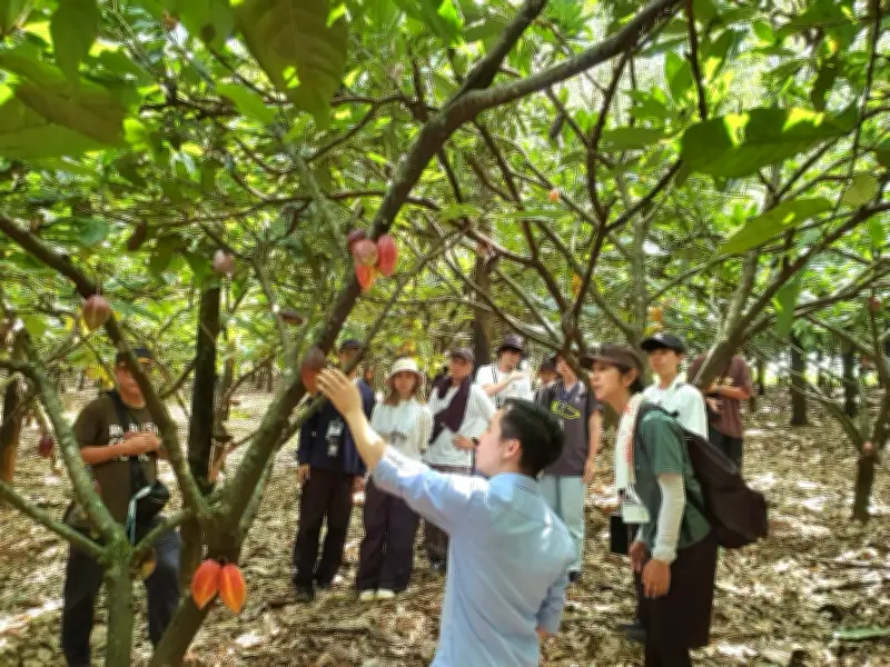 Hành trình 10 năm kiên định 'Sạch từ nông trại' của doanh nhân trẻ Lê Văn Hoàng