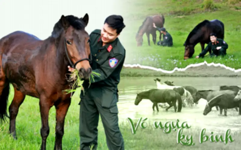 Hành trình 6 năm đưa ngựa Mông Cổ về Việt Nam: Từ thảo nguyên lạnh giá đến kỵ binh hiện đại