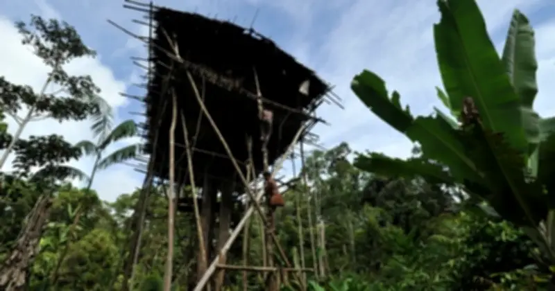 Hành trình khám phá bộ tộc Koroway: Cuộc sống nguyên thủy giữa đầm lầy Indonesia