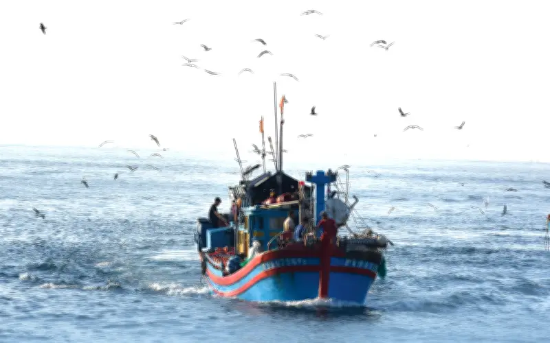 Hành trình ngàn năm của ngư dân Việt: Vươn mình từ sóng gió đến thịnh vượng đại dương