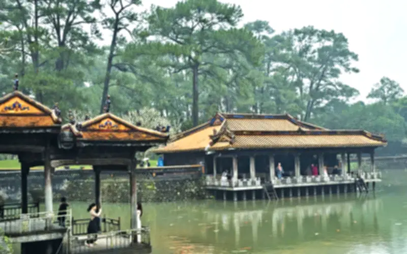 Hành trình tìm lại 'Huế ngàn thông': Di sản xanh và cốt cách quân tử của cố đô