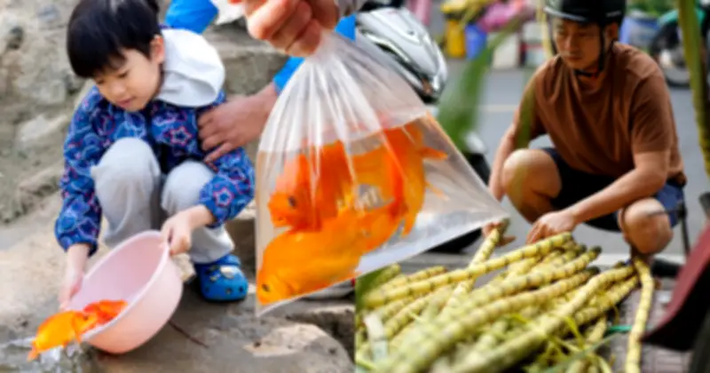 TP.HCM và Hà Nội rộn ràng tiễn ông Công ông Táo với nét đẹp văn minh