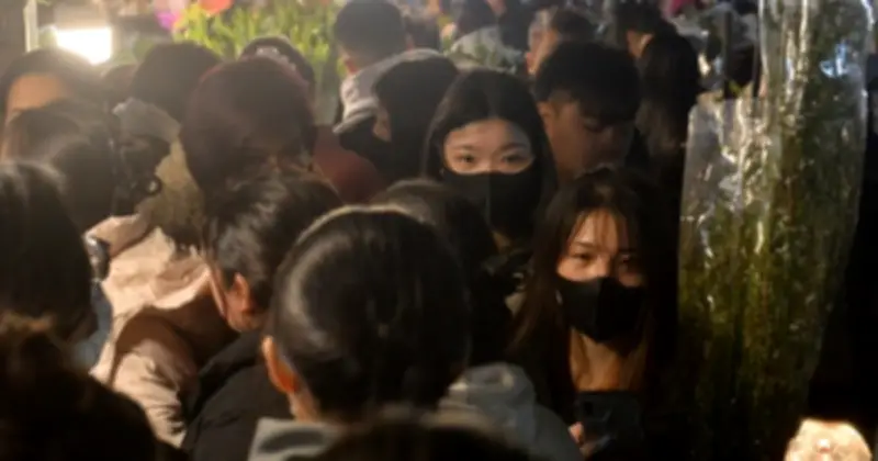 Hoa cá chép vàng độc lạ xuất hiện tại chợ hoa Quảng An dịp Tết Bính Ngọ 2026