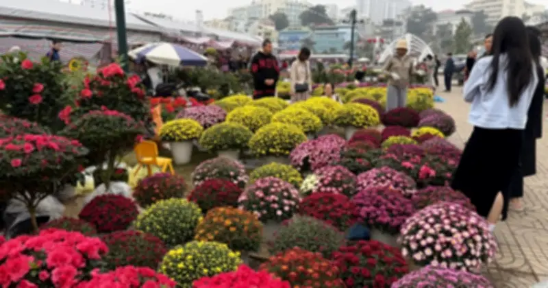 Hoa Tết nở sớm, thị trường ảm đạm tại Quảng Ninh trước thềm năm mới