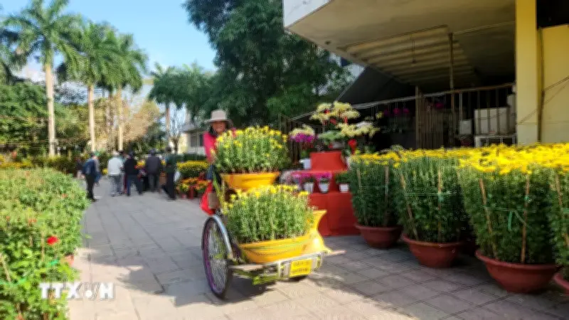 Hoa Tết tại Huế tăng giá, thị trường nhộn nhịp trước thềm xuân mới