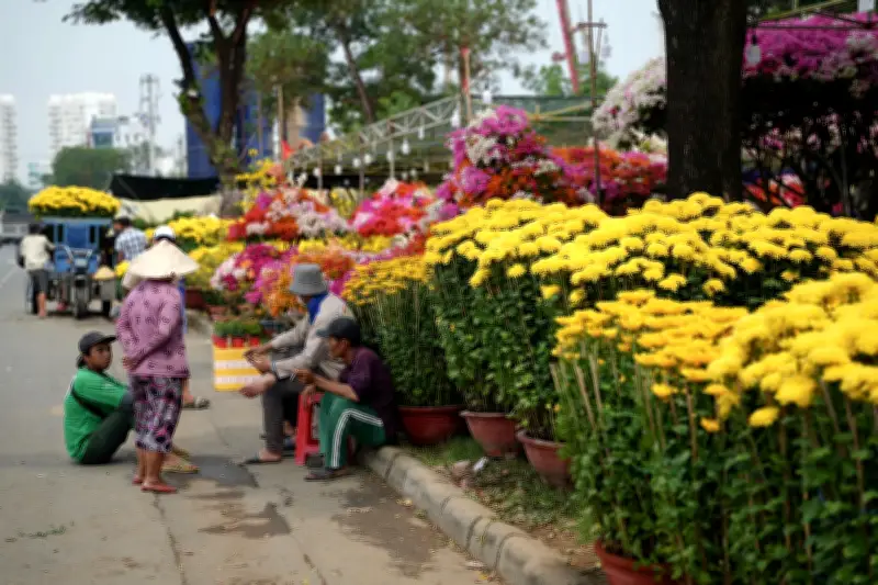 Hoa Tết TPHCM ế ẩm, giá ổn định nhưng sức mua chậm trước thềm năm mới