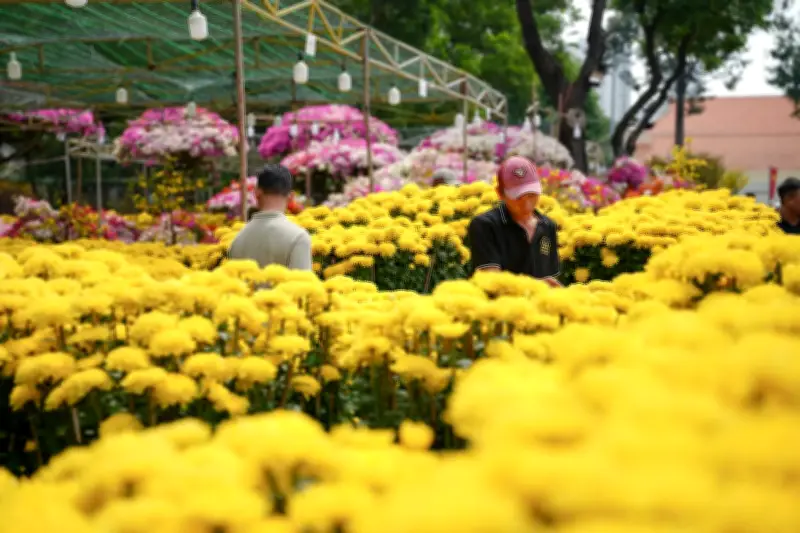 Hoa Tết TPHCM tràn ngập đường phố, giá ổn định nhưng sức mua chậm