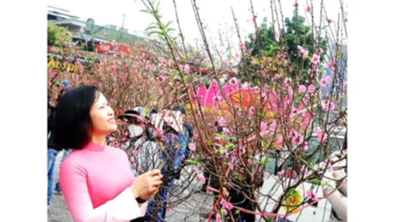 Hoa Tết và sự dịch chuyển từ 'ăn Tết' sang 'chơi Tết' trong đời sống đô thị