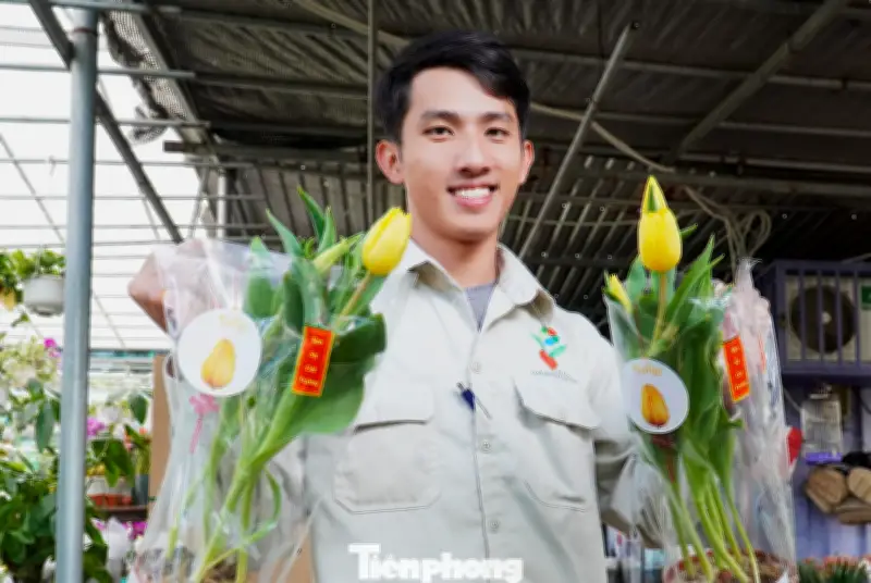 Hoa Tulip 'Xứ Lạnh' Gây Sốt Tại Đà Nẵng Dịp Cận Tết, Người Dân Đổ Xô Mua Về Chưng