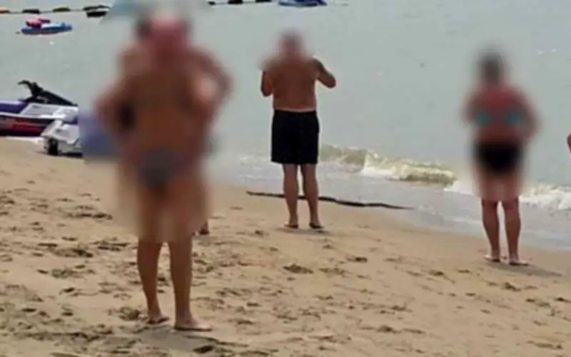 Hoảng loạn tại bãi biển Pattaya khi trăn khổng lồ bất ngờ trồi lên từ biển