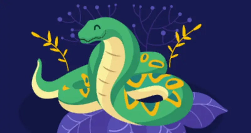 Tử Vi Tuổi Tý Năm 2026: Dự Báo Chi Tiết Cho Từng Năm Sinh