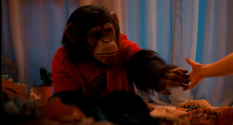 Phim Kinh Dị 'Primate': Tinh Tinh Nhiễm Dại Gây Ám Ảnh Và Thành Công Doanh Thu