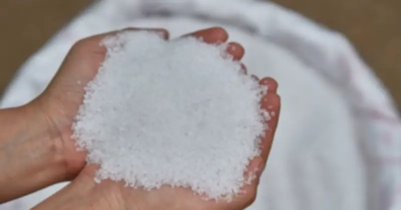 Hộp hút ẩm giá rẻ: Giải pháp đơn giản chống nồm ẩm cho mọi gia đình