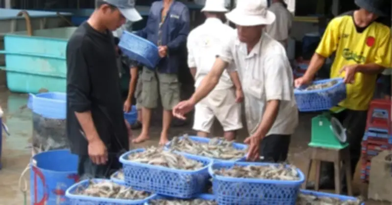 HTX Thủy Sản Đối Mặt Thách Thức Số Hóa Và Truy Xuất Nguồn Gốc