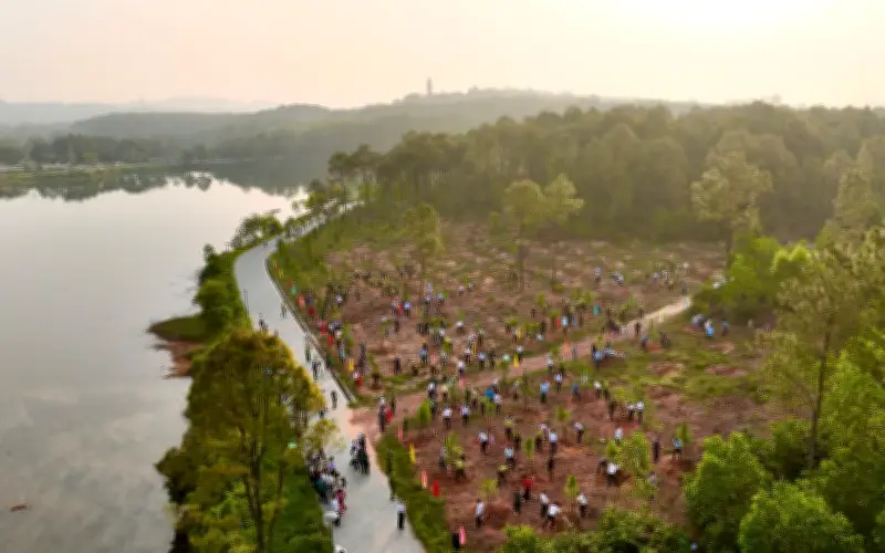 Huế biến công viên ma mị thành không gian xanh với Tết trồng cây Xuân 2026