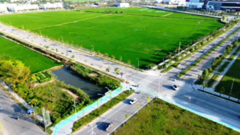 Huế đề xuất cấm ô tô giờ cao điểm và phân luồng tại các nút giao trọng điểm