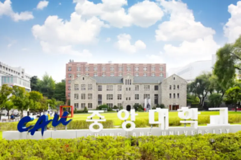 Hàng trăm nghìn du học sinh Việt đổ về Hàn Quốc: Động lực từ văn hóa đến chính sách visa