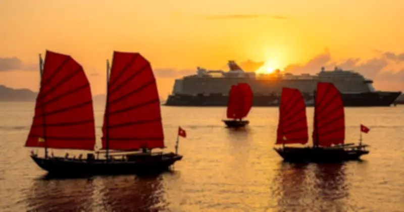 Đại Lộ Ngàn Hoa Bên Vịnh Hạ Long: Điểm Check-In Rực Rỡ Dịp Tết Nguyên Đán