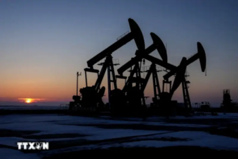 IEA Hạ Dự Báo Nhu Cầu Dầu Toàn Cầu, OPEC+ Tăng Sản Lượng Trái Hạn Ngạch