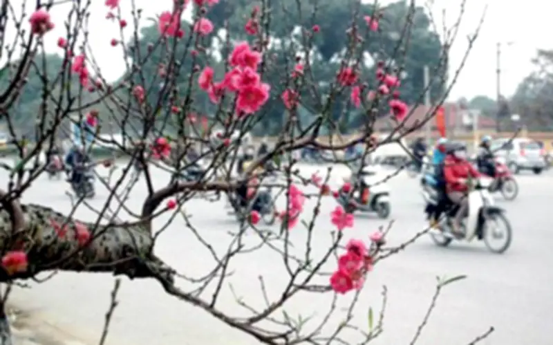 Điểm danh các khu vực có mưa hôm nay do ảnh hưởng của không khí lạnh