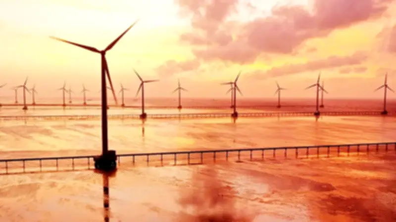 Điện gió ngoài khơi: Bài học từ FIT và đòi hỏi 'luật chơi dài hạn' từ các tập đoàn lớn