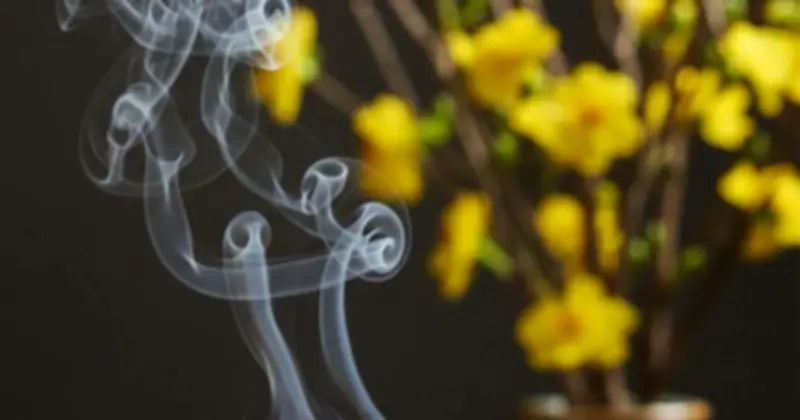Khói trầm hương: 'Máy lọc' vận xui và kích hoạt cung tài lộc cho nhà bạn