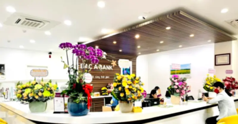 Thanh Tra Ngân Hàng Bac A Bank Khánh Hòa: Phát Hiện Hạn Chế Và Kiến Nghị Khắc Phục
