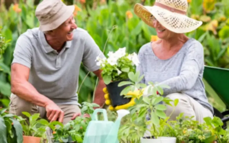 Chuyên gia Nhật Bản giải mã đặc điểm vàng trong máu của người sống trên 110 tuổi