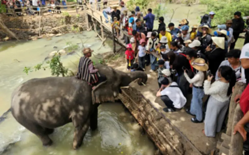 Đắk Lắk: Du lịch khởi sắc đầu xuân với hàng chục ngàn lượt khách