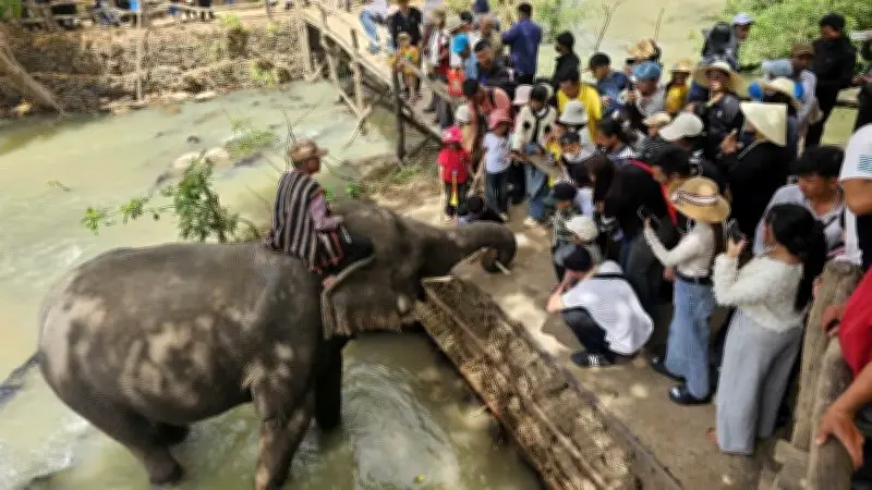 Đắk Lắk đón gần 400.000 du khách dịp Tết, tăng mạnh 33,22% so với năm trước