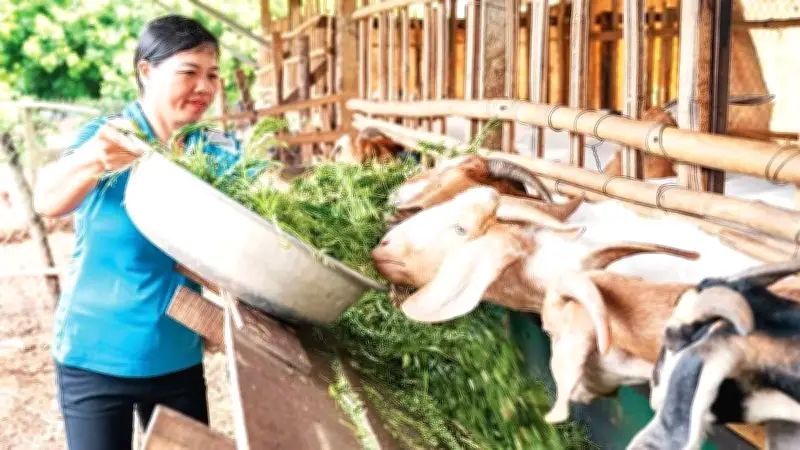 Đắk Lắk: Thành tựu và thách thức trong công tác giảm nghèo bền vững giai đoạn 2021-2030