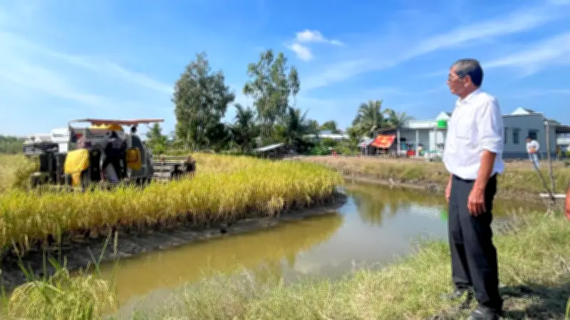 Kỹ sư Hồ Quang Cua: Hành trình 'mài ngọc' đưa gạo Việt lên đỉnh cao thế giới