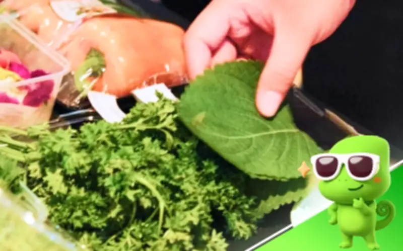 Kamereo Định Hình Chuẩn Mực Cung Ứng Nguyên Liệu F&B Với Nguồn Gốc Rõ Ràng Và Minh Bạch