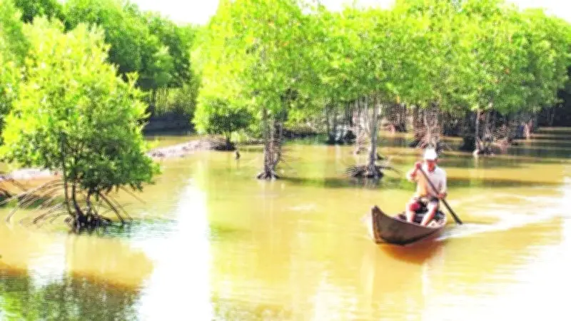 Khí Thế Sản Xuất Đầu Năm Ở Bạc Liêu: Nông Dân Vùng Ven Biển Vươn Lên Làm Giàu