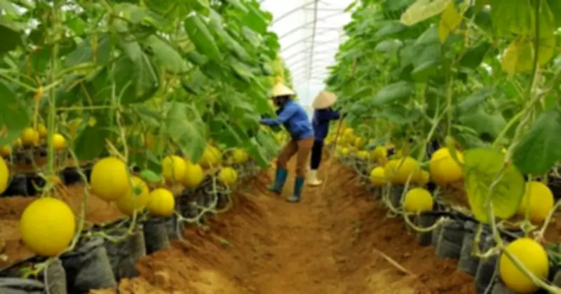 Khởi động hành trình 'Người trẻ kể chuyện văn hoá Việt Nam' tại TP.HCM