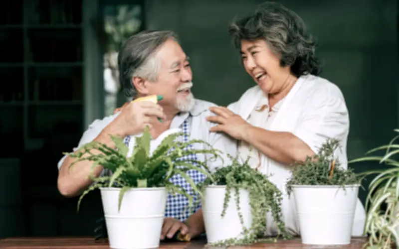 Không Chăm Cháu: Ích Kỷ Hay Quyền Được Sống Của Ông Bà?