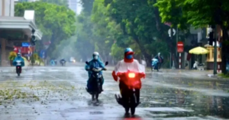 Không khí lạnh mạnh tràn về đúng Tết Nguyên đán 2026, gây mưa rét và biển động