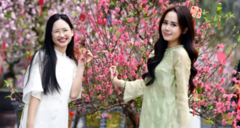 Không khí lạnh sắp tràn về, thời tiết đêm Giao thừa và mùng 1 Tết ra sao?