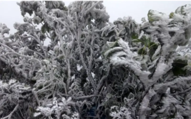 Không khí lạnh tăng cường, miền Bắc rét đậm, nhiều nơi có mưa dông