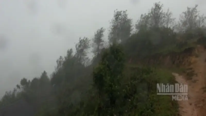 Không khí lạnh tràn về, Bắc Bộ và Bắc Trung Bộ chuyển rét từ đêm 17/2