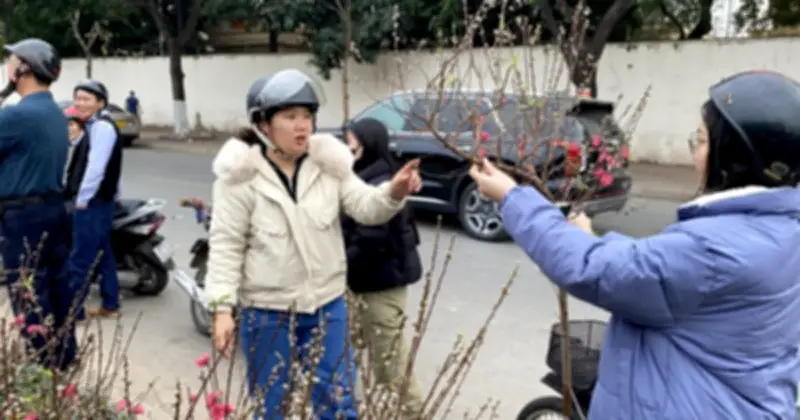 Không khí lạnh tràn về, miền Bắc và Bắc Trung Bộ đón Tết trong giá rét