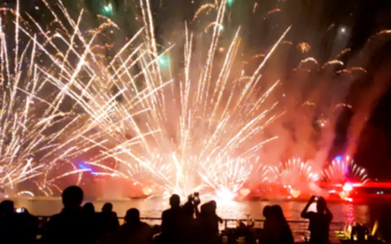 Không Khí Tết Bính Ngọ 2026 Rộn Ràng Khắp Cả Nước Từ Phú Quốc Đến Hà Nội, TP.HCM