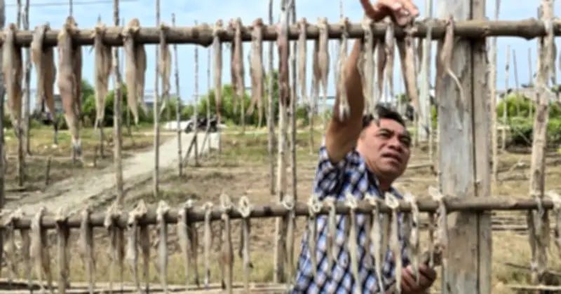 Không khí tết nhộn nhịp ở cửa biển Cái Đôi Vàm, Cà Mau: Ngư dân bám biển, làng nghề khô tất bật