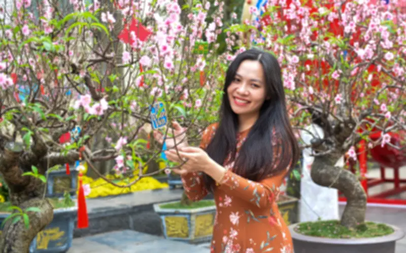 Không khí Tết rộn ràng khắp các thành phố lớn: Hà Nội, TP.HCM, Hải Phòng, Cần Thơ, An Giang