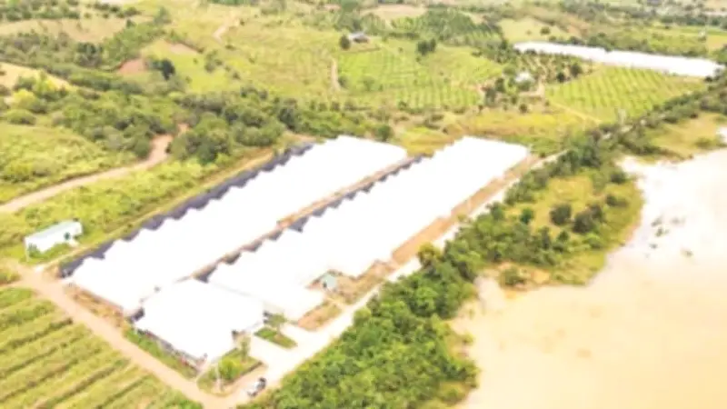 Khánh Hòa: Vốn khuyến công nhỏ tạo đột phá lớn trong sản xuất nông thôn