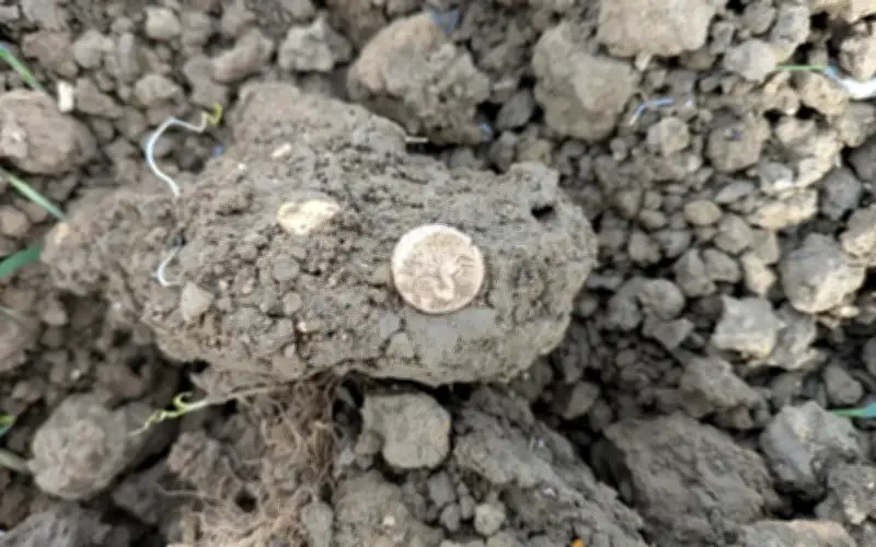 Kho báu 18 đồng vàng thời đồ sắt được phát hiện ở Anh, dự kiến đấu giá 25.000 bảng