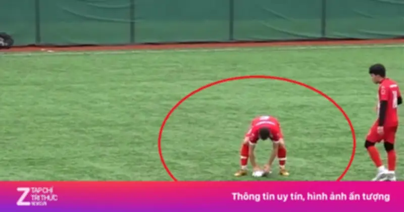 Khoảnh khắc cầu thủ cứu chim mòng biển gây sốt mạng xã hội